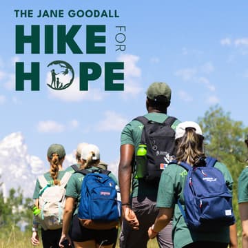 Cover Image for Hike for Hope - Chicago Basecamp Event