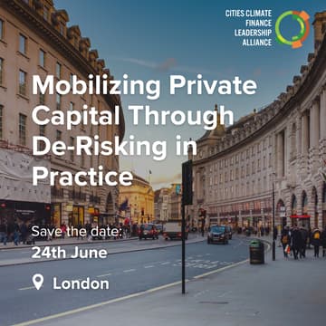 Cover Image for Mobilizing Private Capital Through De-Risking in Practice