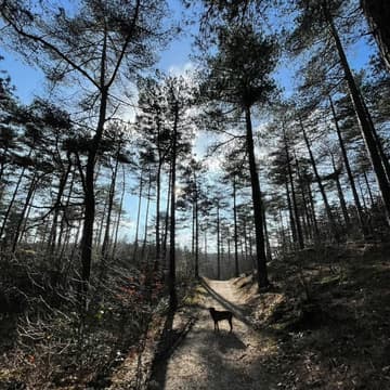 Cover Image for Walk & Talk Bergen (NH)