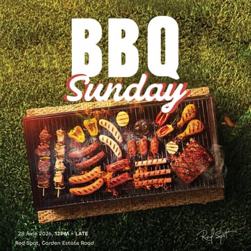 Cover Image for BBQ Sunday 4.0
