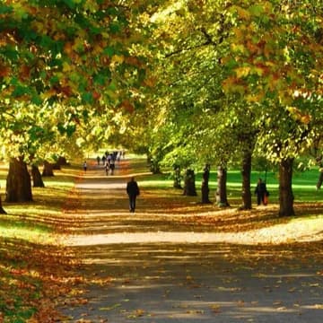 Cover Image for 🌳Offline Women Explore the Royal Parks: Green Park