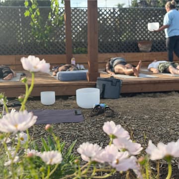 Cover Image for Yoga on the Farm
