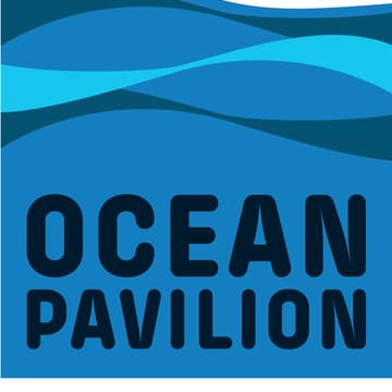 Cover Image for Daily Ocean Huddle
