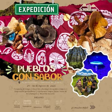 Cover Image for Hongosto en “Pueblos con sabor”(Acaxochitlán - Omitlán de Juarez, Hidalgo)