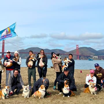 Cover Image for Crissy Field Pride Corgi Meetup