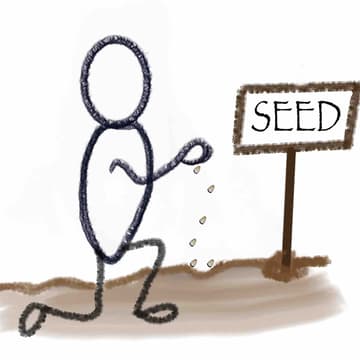 Cover Image for Facilitator Development Programme (FDP) - Seeds