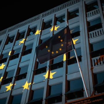 Cover Image for Miten hyödyntää yritysten suorat EU-avustukset?