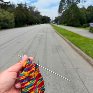 Cover Image for Walk & Knit