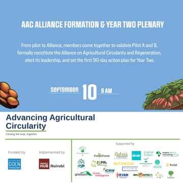 Cover Image for AAC Alliance Formation & Year Two Plenary