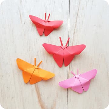 Cover Image for Origami