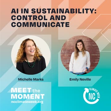 Cover Image for AI in Sustainability: Control and Communicate