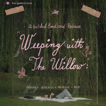 Cover Image for Weeping With The Willow