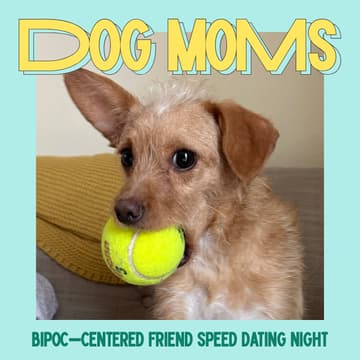 Cover Image for Friend Speed Dating for Dog Moms [30-36 yo] | Women | West Seattle