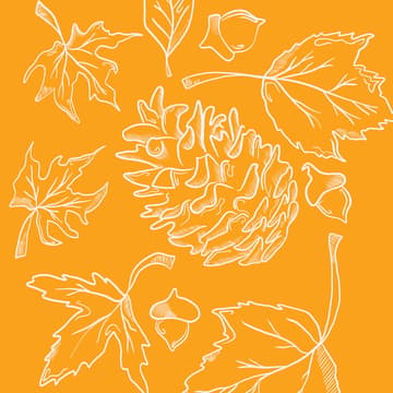Cover Image for Herfstbrunch
