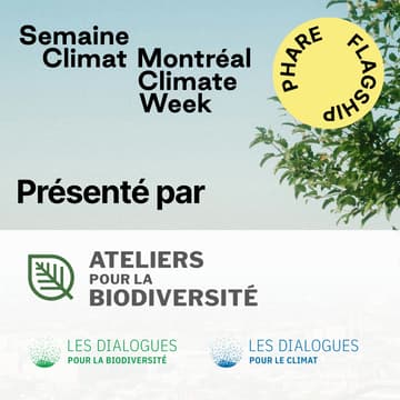 Cover Image for Un automne de COP : comprendre les enjeux, suivre les négociations et explorer les perspectives