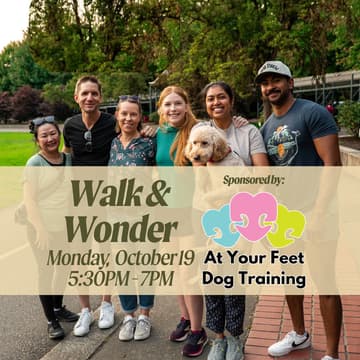 Cover Image for Walk & Wonder - Business Edition - DOG DAY!!