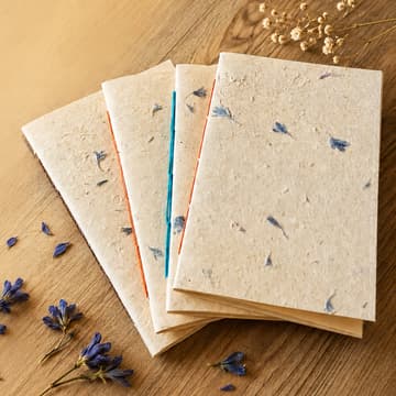 Cover Image for Chain stitch bookbinding