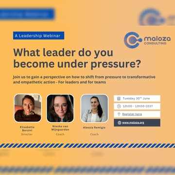 Cover Image for What Leader Do You Become Under Pressure?