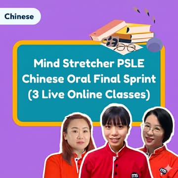 Cover Image for Mind Stretcher PSLE Chinese Oral Final Sprint (3 Live Online Classes) | Session 1 with Head Of Chinese Yu Man