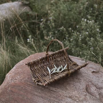 Cover Image for Tiny Trug