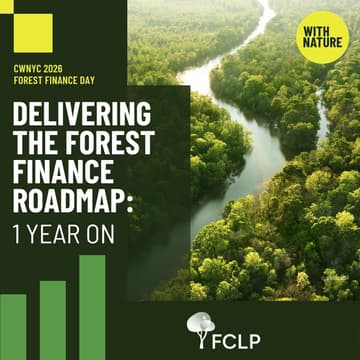 Cover Image for Delivering the Forest Finance Roadmap: 1 Year On