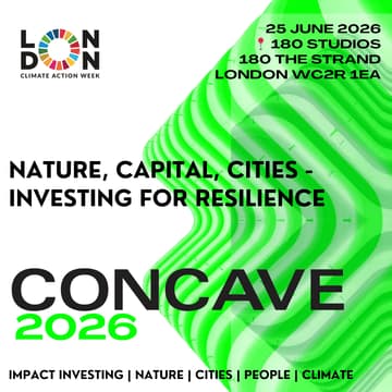 Cover Image for Nature, Capital, Cities - Investing for Resilience