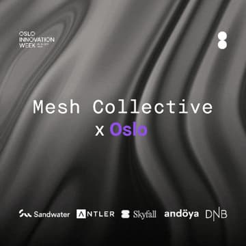 Cover Image for Mesh Collective X Oslo #2 // Sandwater edition