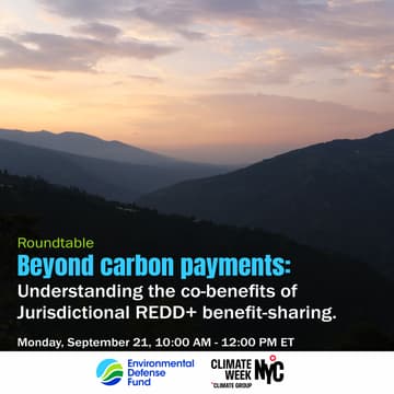 Cover Image for Beyond carbon payments: Understanding the co-benefits of Jurisdictional REDD+ benefit-sharing.