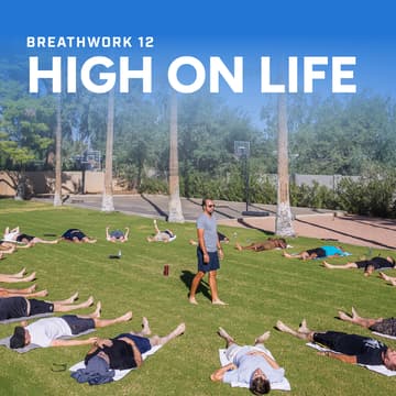 Cover Image for High On Life 12: Breathwork with Jesse Teron