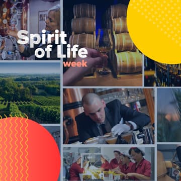 Cover Image for European Champions and Competitiveness: Spirits as a Made in Europe Success Story