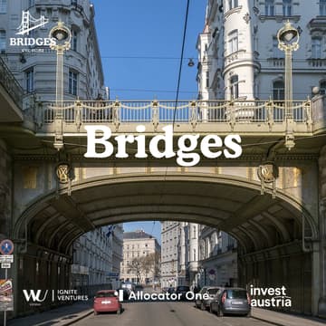 Cover Image for Bridges in Vienna: Summer Night IV 🍻