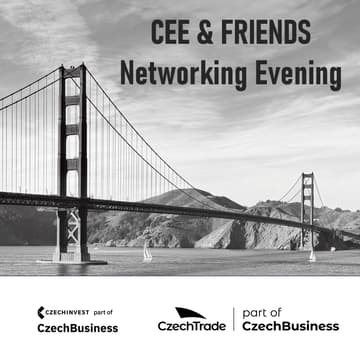 Cover Image for CEE & Friends Networking Evening
