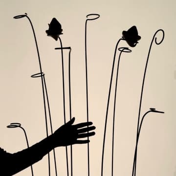 Cover Image for Happenings Production: A Still Life Tasting II