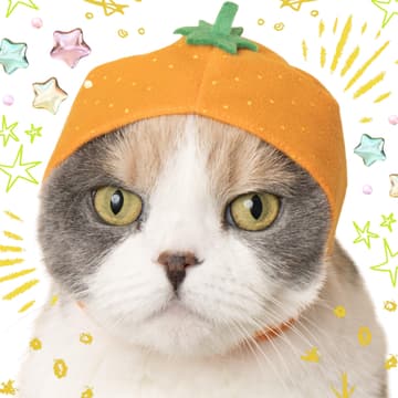 Cover Image for felt cat hats @ get a gato