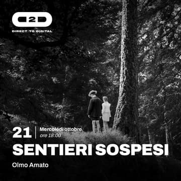 Cover Image for SUSPENDED PATHS (Olmo Amato)