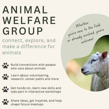 Cover Image for Animal Welfare Group: Kick Off