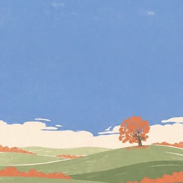 Cover Image for Infotermin & Demo
