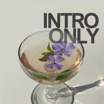 Cover Image for Intro Only: Back to The City 🖤