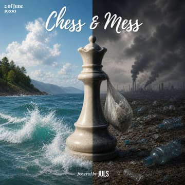 Cover Image for Chess & Mess: A Private Game of Capital