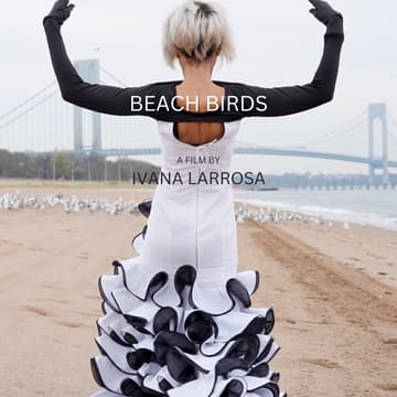 Cover Image for Beach Birds Film + Director Q&A