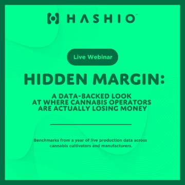 Cover Image for Hidden Margin: Where Cannabis Production Is Actually Losing Money