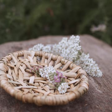 Cover Image for Random Weave with Bulrush