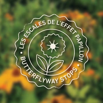 Cover Image for Les escales de l'Effet papillon / Butterflyway Stops