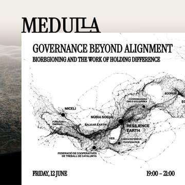 Cover Image for Governance Beyond Alignment: Bioregioning and the Work of Holding Difference