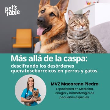 Cover Image for Más allá de la caspa: descifrando los desórdenes queratoseborreicos en perros y gatos.