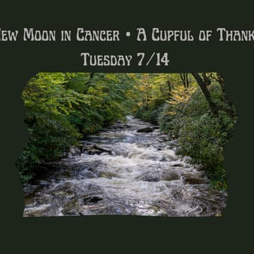 Cover Image for Cancer New Moon • A Cupful of Thanks