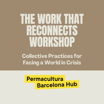 Cover Image for The Work That Reconnects: Collective Practices for Facing a World in Crisis