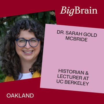 Cover Image for Judging a Book by Its Hair: Identity and Stereotypes in American History