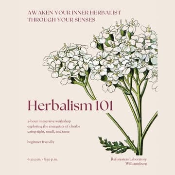 Cover Image for Herbalism 101