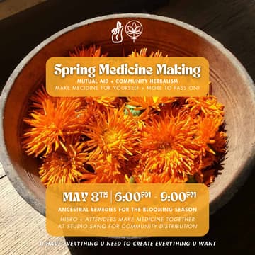 Cover Image for Spring Medicine Making
